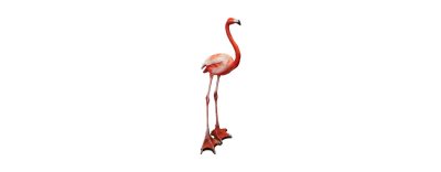 C4169 90 CM Flamingo